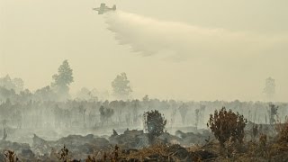 Why Indonesia Is One of the Worst Climate Change Offenders in the World
