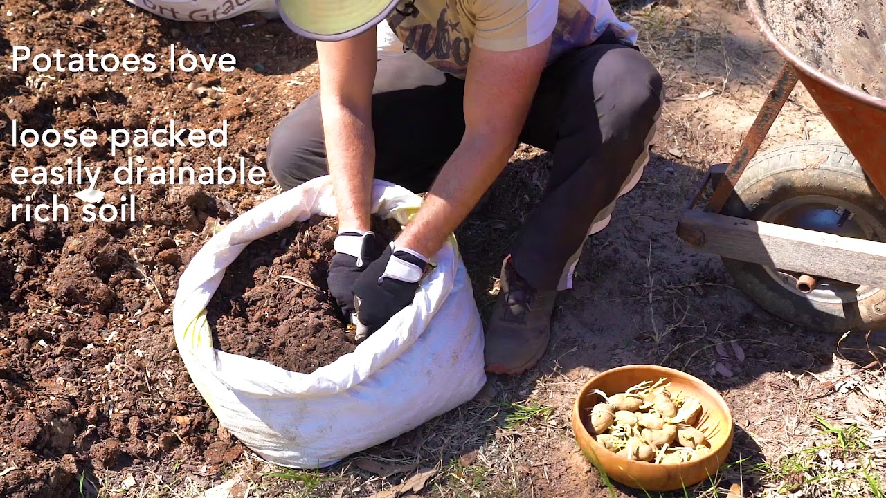 Back pain while gardening? YouTube