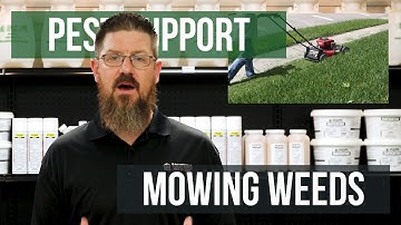 Can You Control Weeds by Mowing? | Pest Support