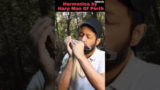 Download Lagu I Have A Dream - ABBA | Harmonica #shorts #shortsfeed #abba  @OfficialABBA #remastered MP3