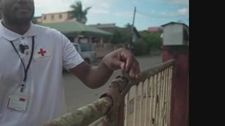 Thumbnail for Tijgermug slaat toe in Suriname