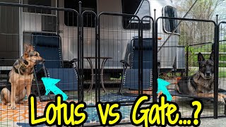 Can this FXW RV Gate Keep My German Shepherds Contained? FXW Dog Playpen for Airstream Review.
