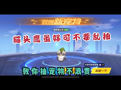 qq飞车手游:猫头鹰虽好可不要乱抽，这样抽才不会造成浪费