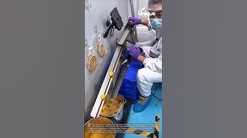 Eggs processing for beginners: a simple guide to processing eggs