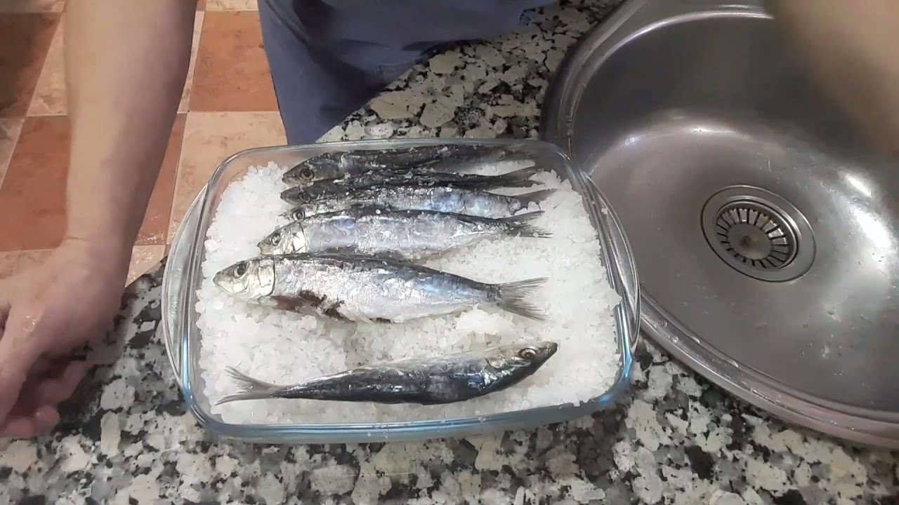 SARDINAS EN SALAZÓN, tambien conocidas como SARDINAS ARENQUES 😋