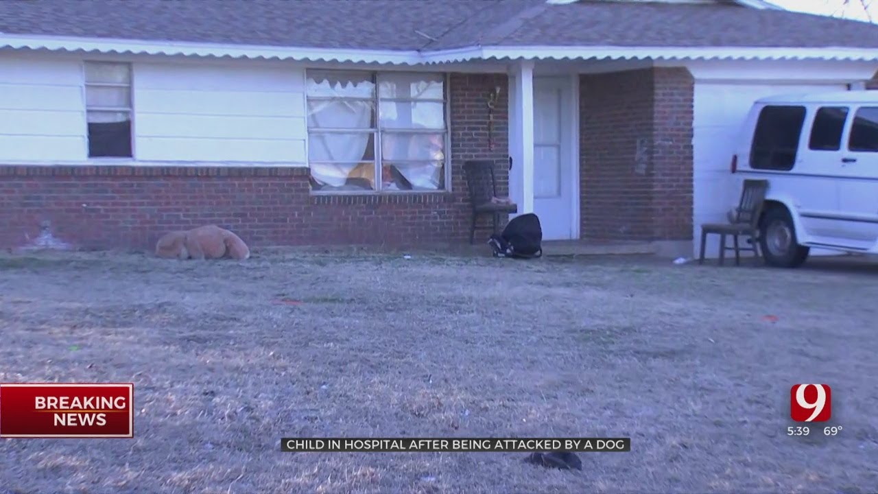 Child In Hospital After Being Attacked By Dog, Investigators Say - YouTube