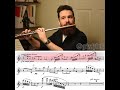 GRIZZLYFLUTE // Carnival of Venice, opus 78, by Giulio Briccialdi