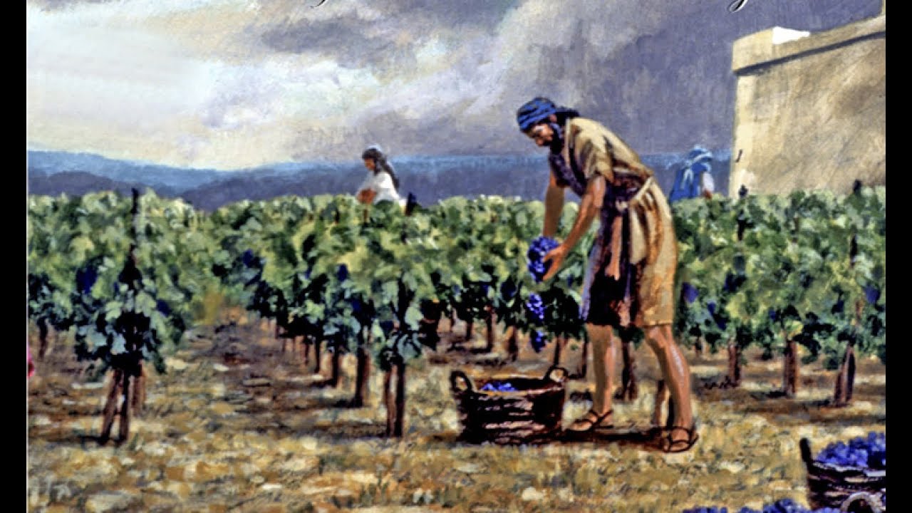 Злой виноградарь. Илия в винограднике Навуфея. Работники в винограднике. Виноградник в древности. Виноградники в Аттике.