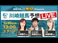 Amazon.co.jp: ライト開発競馬予想 極4 : ホーム＆キッチン