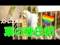 【生後4か月】