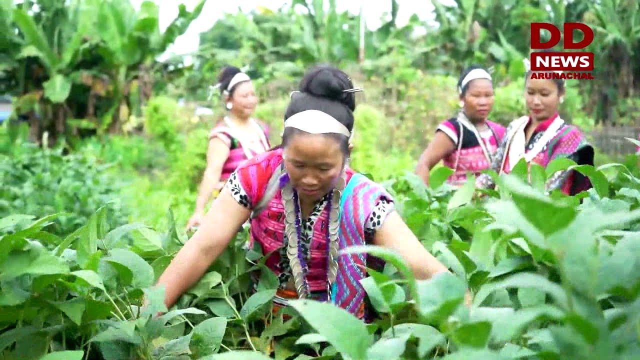 Self Help Group under NRLM Empowering Local Women in Arunachal Pradesh ...