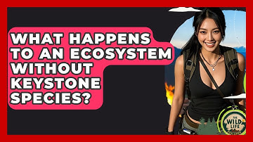 What Happens To An Ecosystem Without Keystone Species? - The Wild Life Explorer