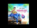 Wankolera Lydia Jazmine Official Audio