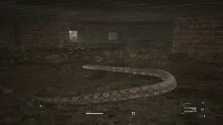Metal Gear Solid Delta Sneak to Bottom of Building Hunt Snake and Rat screenshot 2