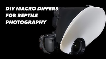 Making flash diffusers for reptile photography