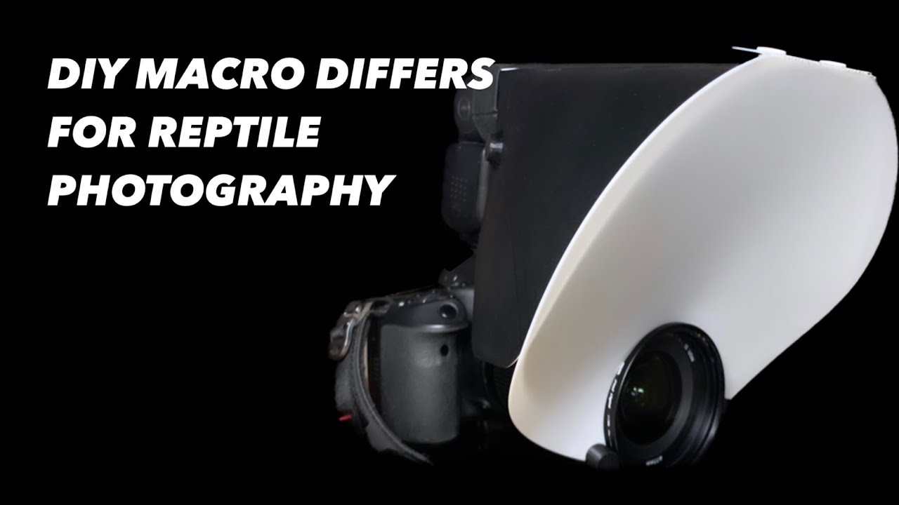 Making flash diffusers for reptile photography YouTube