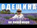 Одеса ТОП несподівані локації для подорожі Устрична ферма лавандове поле сафарі та лимани