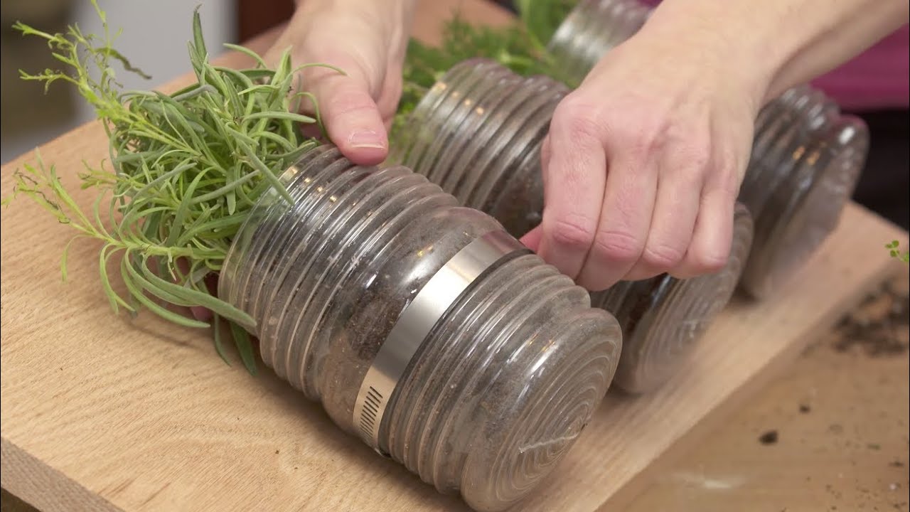 indoor hanging herb garden how to plant an indoor hanging herb garden with gina youtube indoor hanging herb garden how to plant an indoor hanging herb garden with gina youtube
