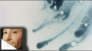 Polarized USB microscope