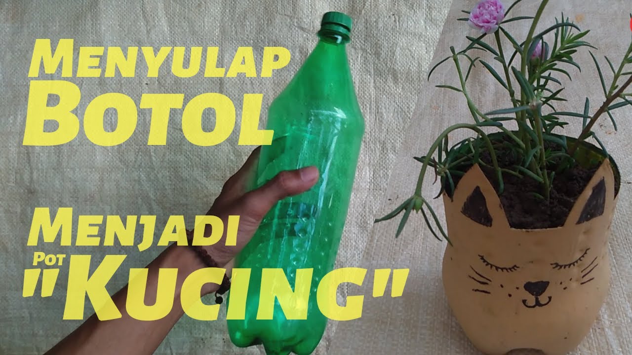  Cara  Membuat  Pot  Berbentuk Kucing dari  Botol  Plastik YouTube