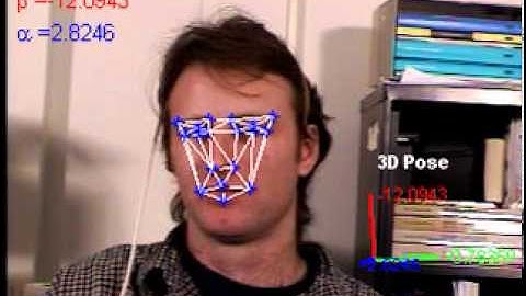 Monocular Head Pose Estimation