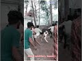 😈நல்ல புடி.. 🔥அகரம் ஜல்லிக்கட்டு பேரவை.. ❤vadam Jallikattu whatsapp status tamil.. 🌹
