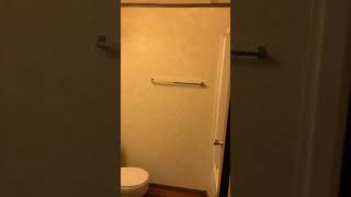 IMG 0037