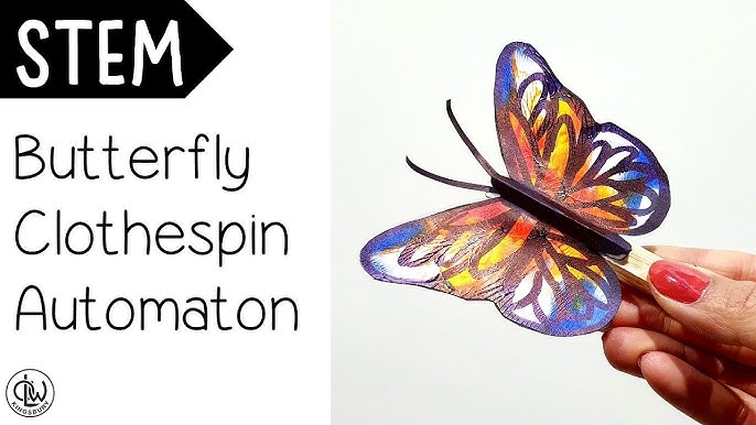 🦋 Chromatography Butterflies - EASY Butterfly Science Craft for Kids