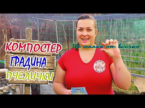 Video: Kdaj jeseni kopati dalije in kako jih shraniti