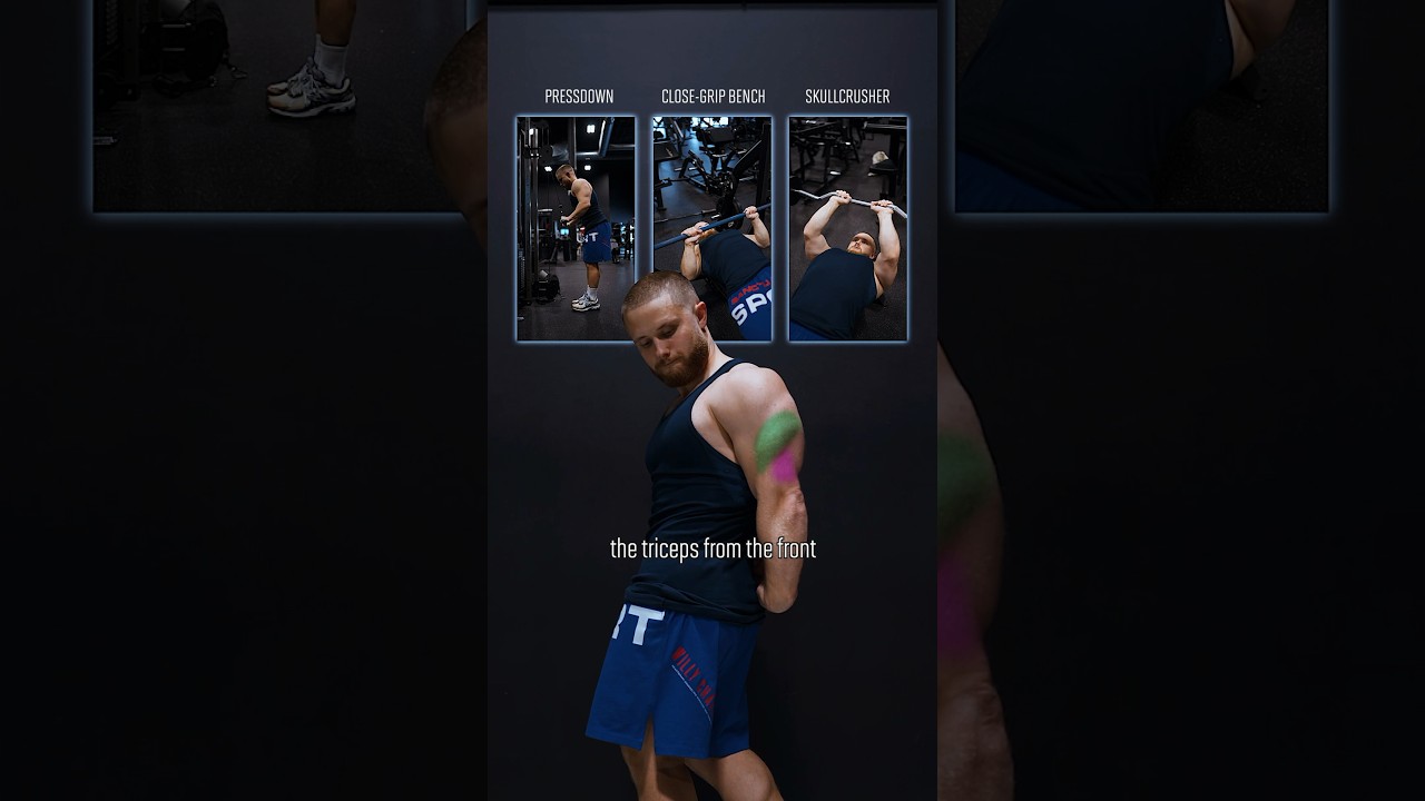 Everyone Is Still Confused About Triceps Training