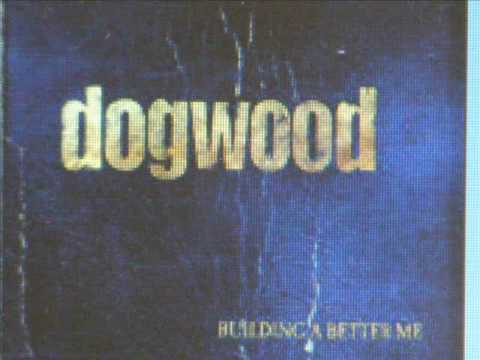 Punk music video thumbnail preview for Dogwood - There's Room for Everyone