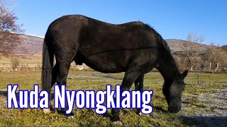 Lancaran Kuda Nyongklang || Lirik (cakepan)