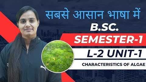 Lecture 2 Classification of Algae | B.Sc. Semester-1 Botany Unit-1 #bsc #botany