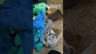 Dog toy haul ytshorts  Dogs cute