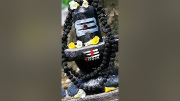 Shambu Mere Sang❤️ ||शंभू मेरे संग ||4k status || mahadev status #shorts #short #shortvideo #mahadev