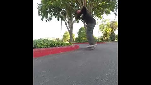 Fakie nose grind too revert. (2020)