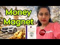 Attract Money Your Way | Countdown to Riches