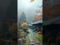 복잡한 생각은 잠시 멈춤, 빗소리에 집중하는 온전한 휴식 😌 편안한 빗소리 #rain #rainsounds #asmr