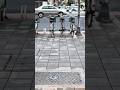 urban walking | sidewalk bikes