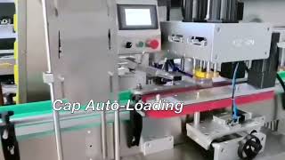 Six Heads High Speed Full Automatic Cosmetic Liquid Bottle Filling Capping Labeling Machine