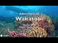 Wakatobi Dive Resort - Gigglin Marlin Trip Oct 2019