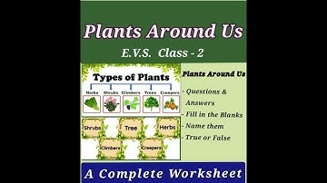 EVS - Plants Around Us||Class-2||Questions & Answers||How to prepare your child to get Sure Success