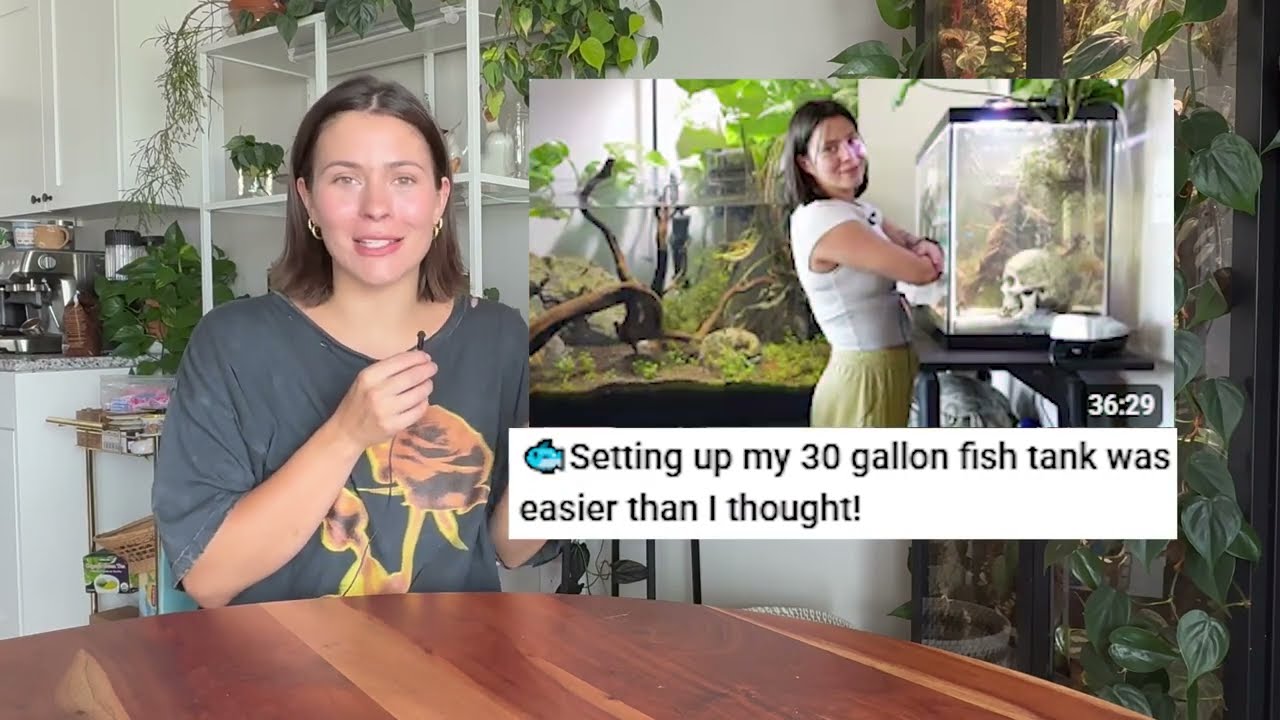 All of my fish keeping supplies!