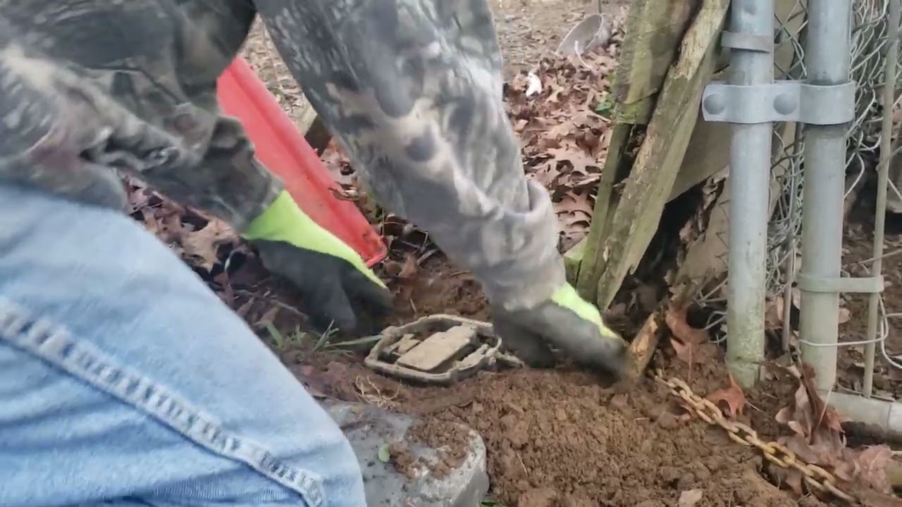 Setting up a TRAP wirh one of our GOOD neighbor.