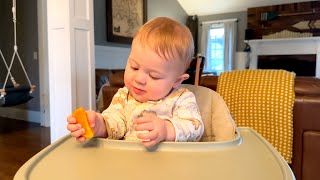 Oranges, Limes, and Assisted Walking