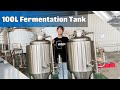 100l 1bbl fermentation tank homebrew fermenter  hulk brewtech