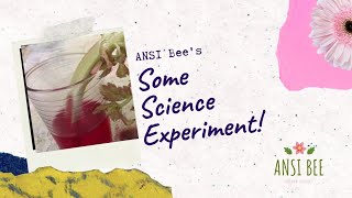 Celery Science Experiment for Kids at Home