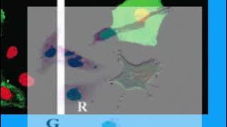 3DD2D5069DC67E960CE75091D61853#1