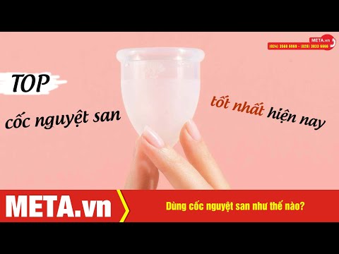 Dùng cốc nguyệt san như thế nào? Top cốc nguyệt san tốt nhất hiện nay | META.vn