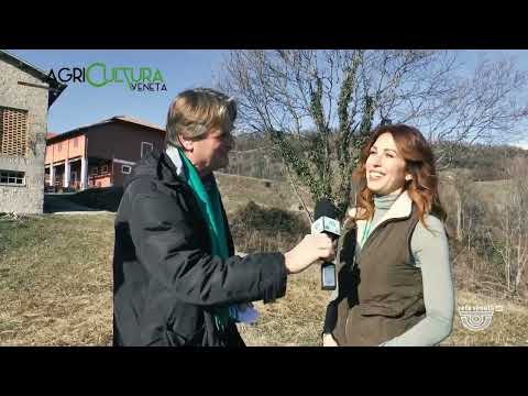 AGRICULTURA VENETA | 03/02/2024